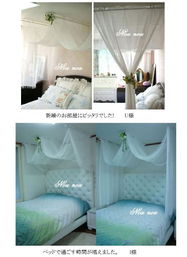 日本代購熱潮 從普羅旺斯篷白到佳能相機，多元化購物新選擇